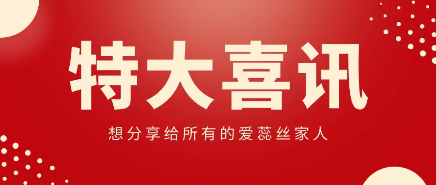 【喜讯】热烈庆祝我司正式升级为集团公司